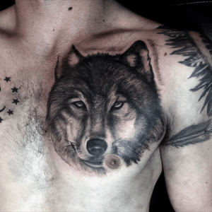 Wolf portrait by Paul @ inkfamous in New Albany IN