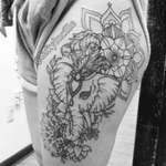 I want an elephant on my thigh which will ne dedicated to my nan who is no longer with me, she loved elephants and i just need one on my body #meagandreamtattoo 