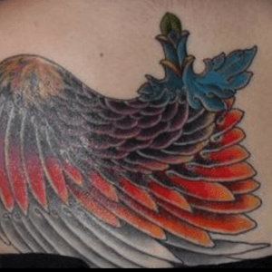 2 hours lines2 hours black shadingFirst hour #colour #feathers #wing #color #colourful #colorful #backpiece #workinprogress 