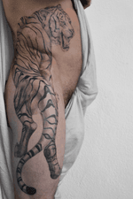 Tiger by Samantha Mancino  🐅🐅🐅                                                        #tattooartist #tattoodo #tiger #tigertattoo #blackandgrey #blackandgreytattoo #realism #animal #cat #tattoooftheday
