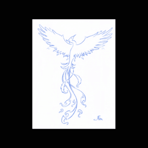 #megandreamtattoo #meganmassacre I would love to use this as my reference for a feminine phoenix tattoo with Megans style and colors on my lower leg.