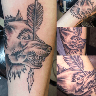 Wolf and Arrow tattoo by TJ Hill of Working Class Tattoo, done at Blue Rose in Boulder. #wolf #wolfandarrow #neotraditional #blackandgrey #blackandgreytattoo #wolftattoo #tjhill #tattoosbytjhill #tjhill13 #forearm #innerforearm #arrow #shading