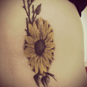 The first one 🌻 #sunflower 