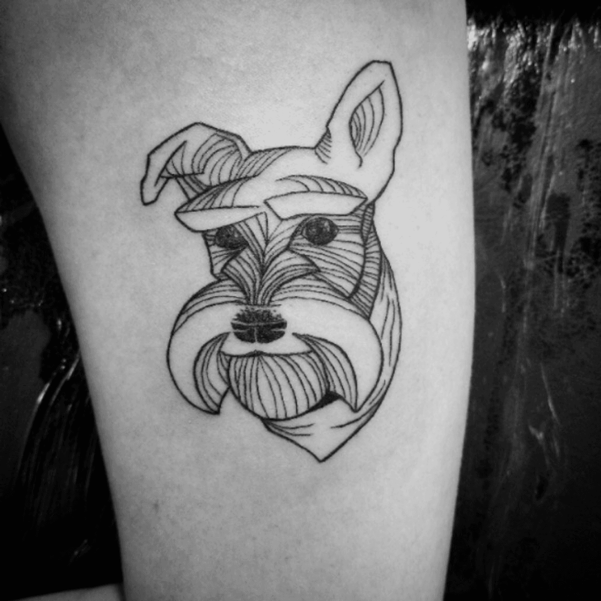 Tattoo uploaded by • schnauzer dog blackwork • Tattoodo