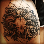 #dotworktattoo #ramskull #roses my amazing healed tattoo! 
