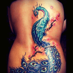 Something Ive been wanting to get for years #peacock #meagandreamtattoo #vibrant 