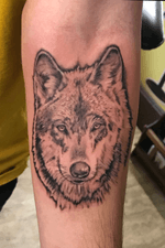 Wolf! #wolf #blackandgrey #realism #bng #tattoos #tattoooftheday #inked 