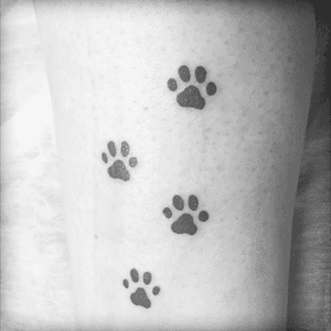 The second one 🐾🐶🐱 #loveforanimals #paws #firsttattoos  #lovefornature #dogpaws #catpaw 