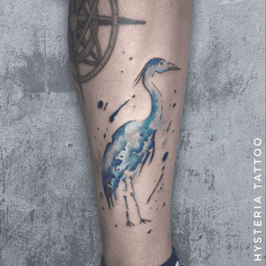 Crane bird, watercolor , hossam hysteria , Amsterdam