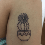 #Cactus 