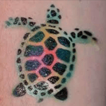 #turtle #tribaltattoo #watercolor #megandreamtattoo 