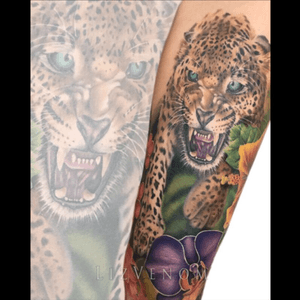 #healed #leopard tattoo. #lizvenom #bigcat #cat #jungle #tropical #orchid #flowers #legsleeve #sleeve #leg #bright #colour #color #wild #rainforest #amazing #feminine #big #girlie #superb #cats #lion #tiger #panther #snarl 
