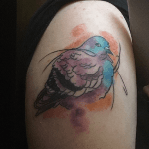 Got this back in october, pigeons are so underrated as a bird #pigeon #pigeontattoo #watercolour #watercolourtattoo #bird #birdtattoo 