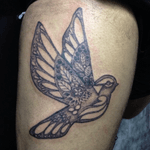Dot work #tattoo #bird #dotwork #tattoodo 