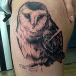 In process... #tattoo #tattoos #owl #bird #realistic #blackAndWhite #hip #inkfectedtattoos #riga #ink #inked 