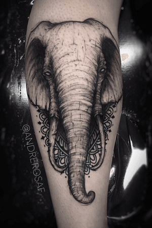 Elephant. For more work: instagram.com/andrerosaf
