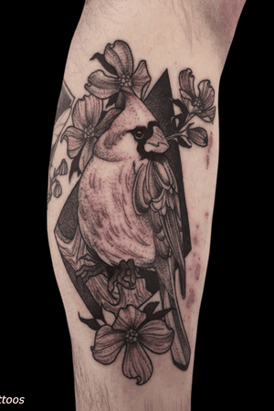 Cardinal Tattoo by Barham