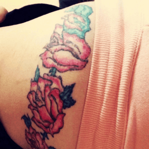 My roses which go all the way round to the other side. Saving up money to get this re worked! Need some colour ideas. 