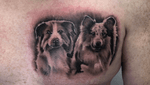 #tattoo #tattoos #tattooartist #ink #inked #realistic #dog #germany