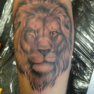Lion black and grey #lion #blackandgrey #tattoo #leon #tattoomex #tattoostudio 
