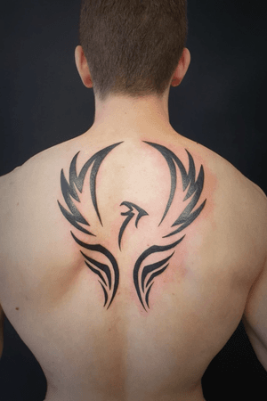 Fenix tattoo by spring tattoo tlv🇮🇱