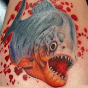 #piranha #blood #chop #teeth #fish 