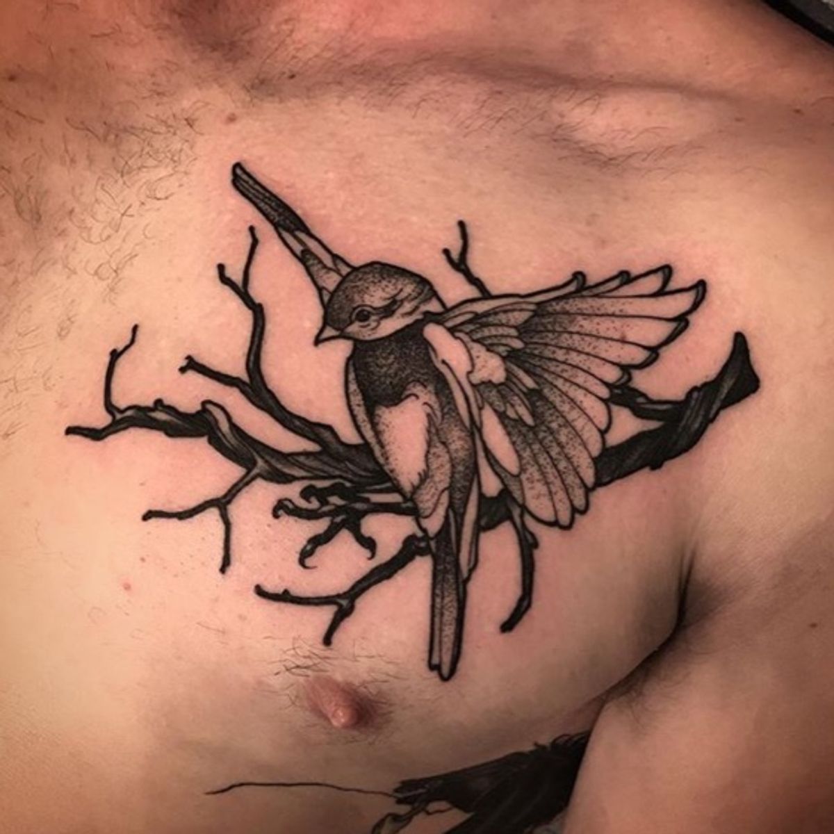 Tattoo uploaded by Fable Tattoo Gallery • Bird Chest Tattoo by Barham • Tattoodo