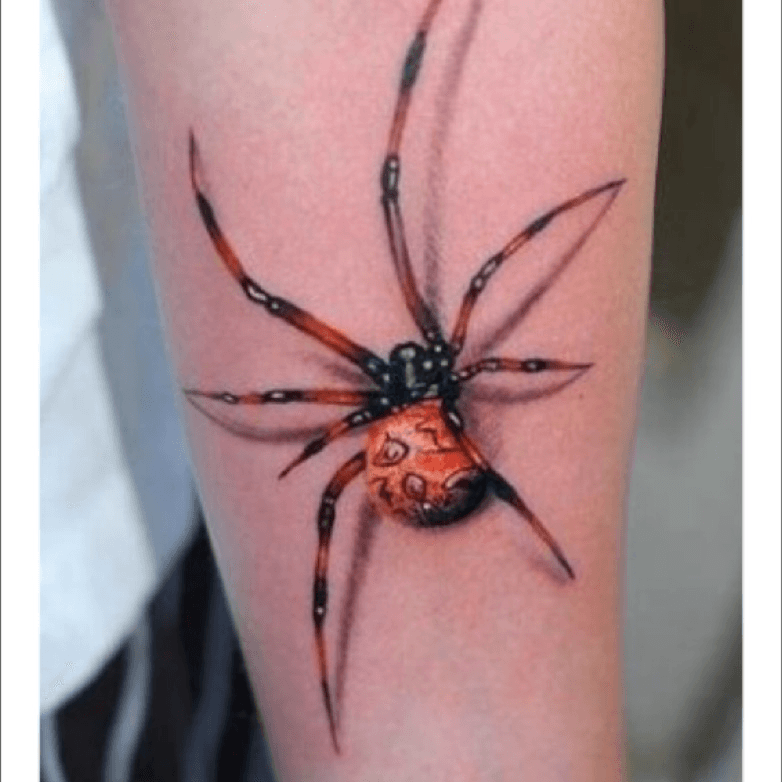 18 Spider Web Tattoos With Dark and Light Meanings  TattoosWin