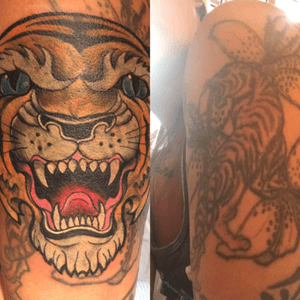 Covering up a tiger with a tiger