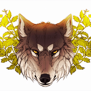 #wolf #leaves #sketch 