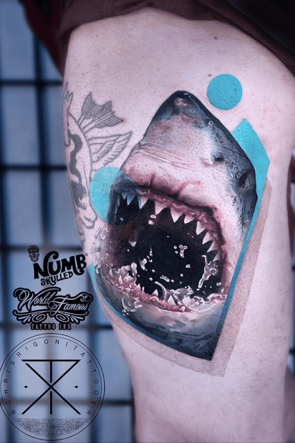 Did this shark outline  Sanctum Designs Tattoo Theatre  Facebook