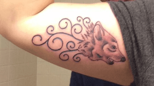 Wolf tattoo on right tricep