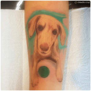 Tattoo - 19/12/2016 - #art #artwork #draw #drawing #design #desenho #ink #inked #paint #painting #tattooed #tattooing #tattooist #instatattoo #handcrafted #handmade #graphics #puppy #love #dog #013 #nofilter #tattoodo #claudiocruz
