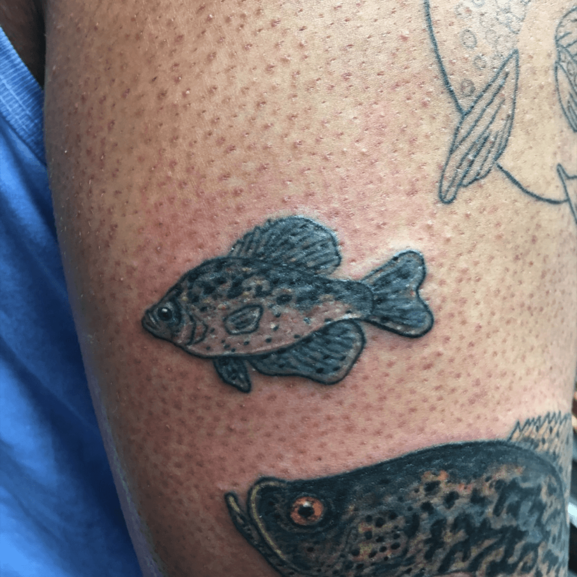 trout fish tattoo with lineTikTok Search