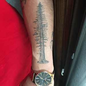 Im trying to finish my Pine Tree Forest soon. Hit me up if you got a photos of Nature that youve done or if you want to finish it . Hit me up 415-410-3446