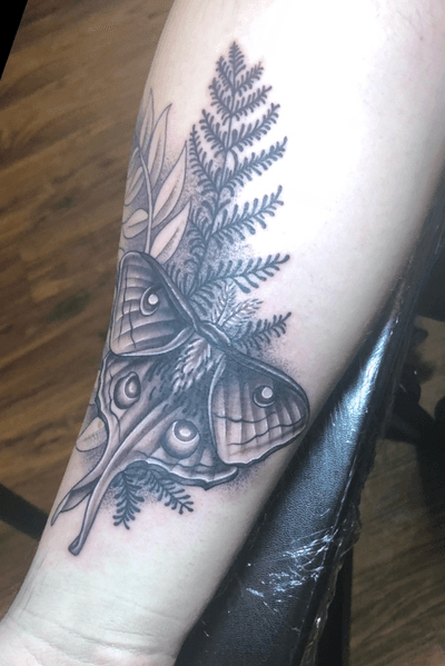 Ellie's Moth Tattoo Svg, Moth Svg, Tribal Tattoo Svg