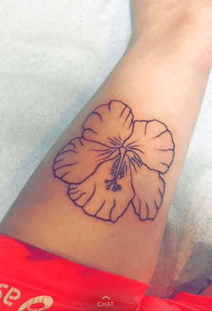 Hibiscus Outline 