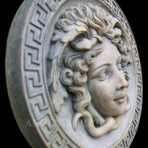 A medusa head shield with a pop of color would be my #megandreamtattoo !