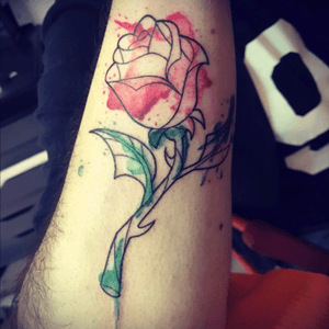 #rose #beautyandthebeast #watercolor #red #green #tattoo #watercolortattoo 💫 #tattoo #tattoos  #tat #toptags #ink #inked #tattooed #tattoist #coverup #art #design #instaart #instagood #sleevetattoo #handtattoo #chesttattoo #photooftheday #tatted #instatattoo #bodyart #tatts #tats #amazingink #tattedup #inkedup 