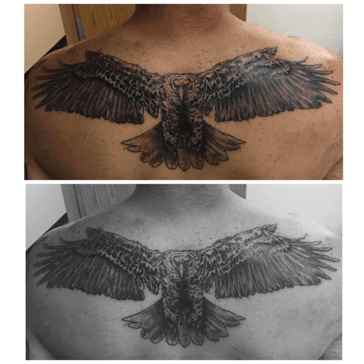 eagle tattoo back