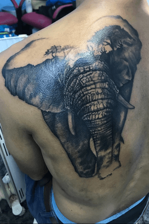 B&w... long tattoo in progress.. he took 6 hours of hard work bravely... 3 more hours left to finish it #blackandgrey #blackandgreytattoo #madridtattoo #elephanttattoo #silviamorla
