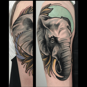 By Brian Povak #brianpovak #elephant 