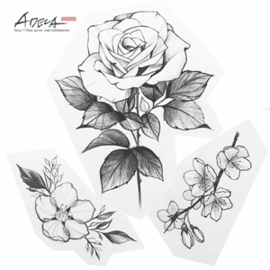 flash #peony #flower#tattoodesign #linework #blackandgrey #koreatattoo #blackwork #blackworker #korea #adelatattoo #flash #tattooflash #toptattooflash #flowertattoo #rose #rosetattoo