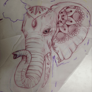 In progress #elephant 