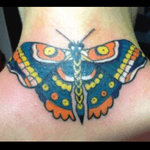 #butterfly#moth 