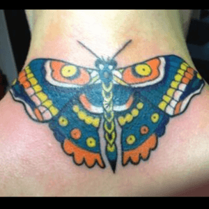 #butterfly#moth 