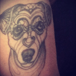 (mar 2016) • my dog Amy #dog #doglovers #amy #amywinehouse #ilovemydog #love #tattoo 
