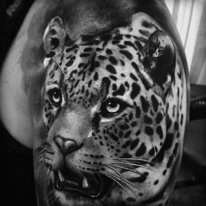 #AlexBruz #cheetah #animal #tiger #hyperrealism 