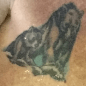 Rock climbing bears  tattooed in Baltamore at the tattoo art museum