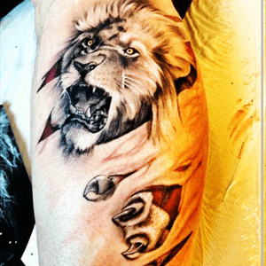Very cool #lion #roar #3D #claws 